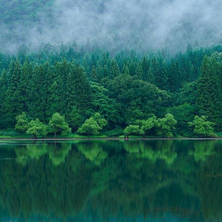 Hokuryuko Hotel North Nagano Nozawaonsen Eksteriør billede